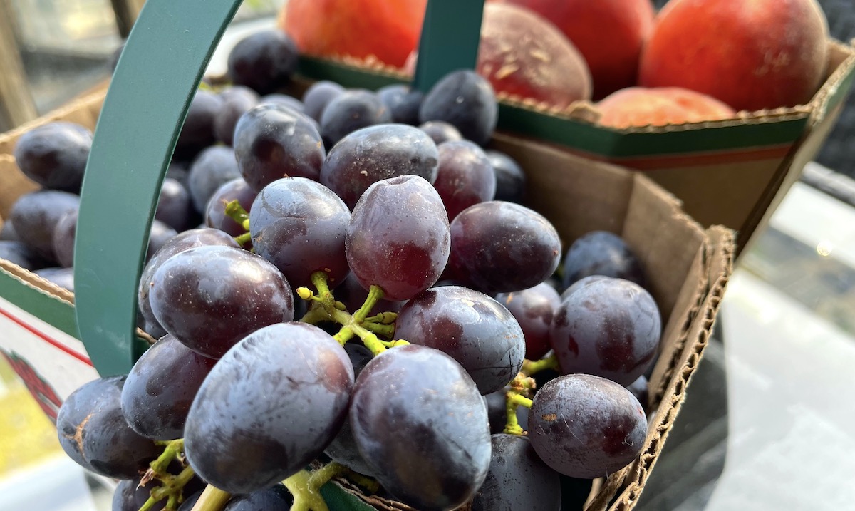 Big purple grapes in the foreground, a basket of peaches in the background.